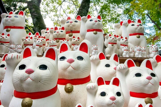 The Fascinating World of the Japanese Lucky Cat: History, Symbolism, and Modern Eco-Friendly Twists